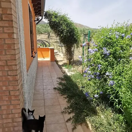 Casa L'ulivo Nature View Villa Burgio