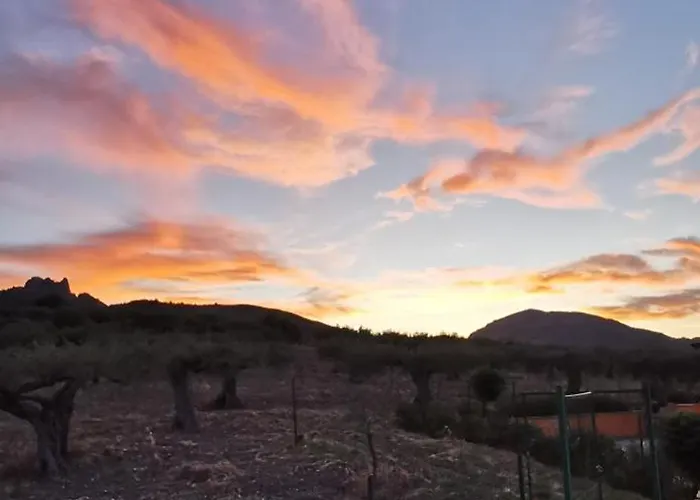 Casa L'ulivo Nature View Villa *